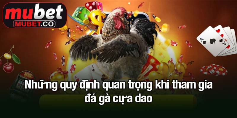 Đá gà cựa dao - Trận đấu kịch tính, cược thông minh 2 Những quy định quan trọng khi tham gia đá gà cựa dao