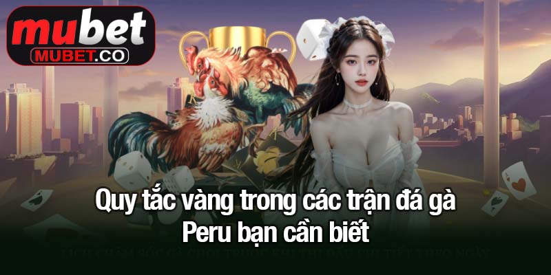 Đá gà Peru - Trận đấu kịch tính thu hút triệu kê thủ Mubet 1 Quy tắc vàng trong các trận đá gà Peru bạn cần biết