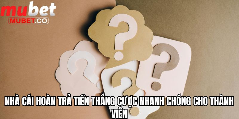 Tổng Hợp Những Câu Hỏi Thường Gặp Khi Cá Cược Tại Mubet 2 Nhà cái hoàn trả tiền thắng cược nhanh chóng cho thành viên
